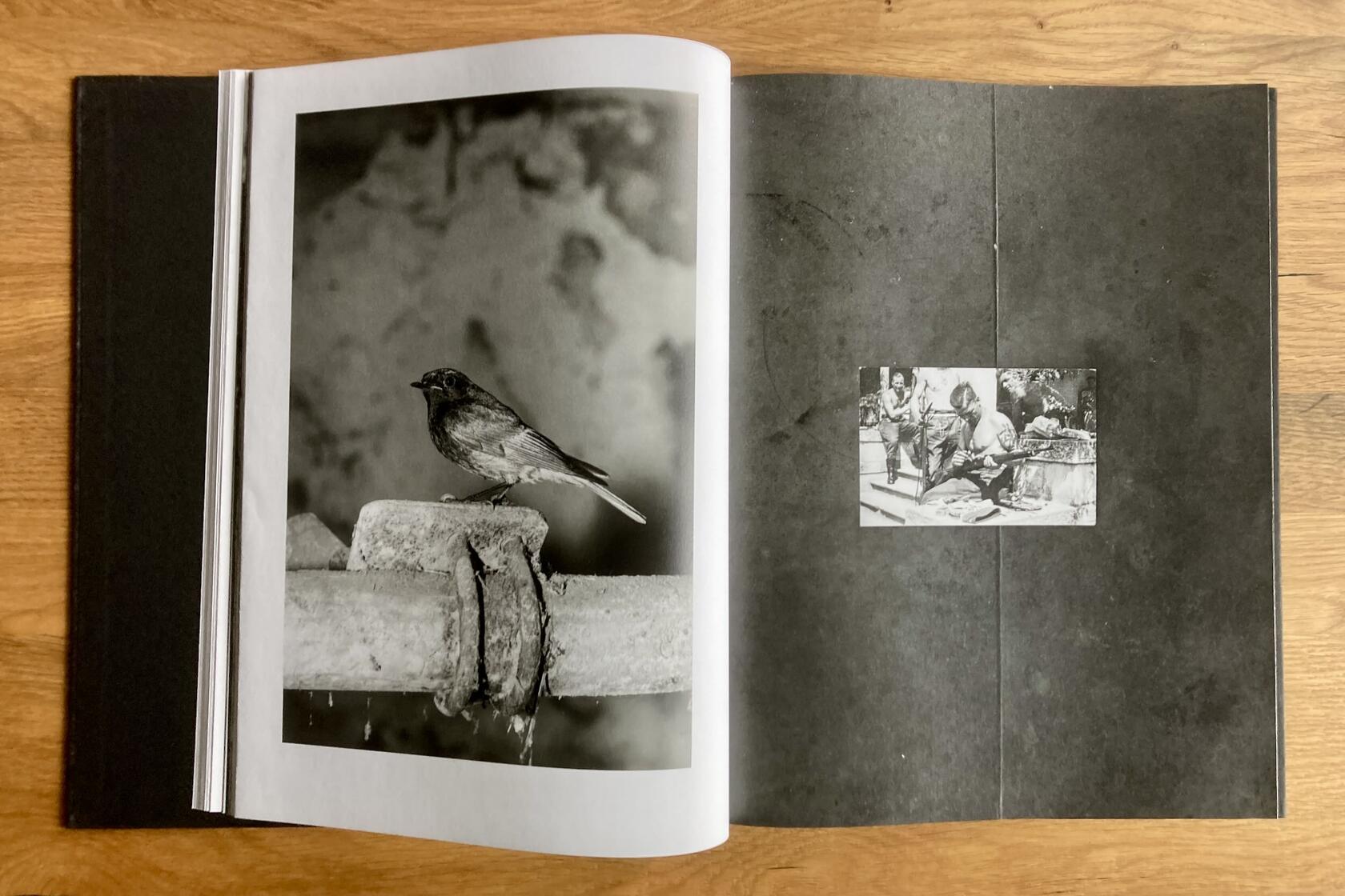 Two pages from the photo book 