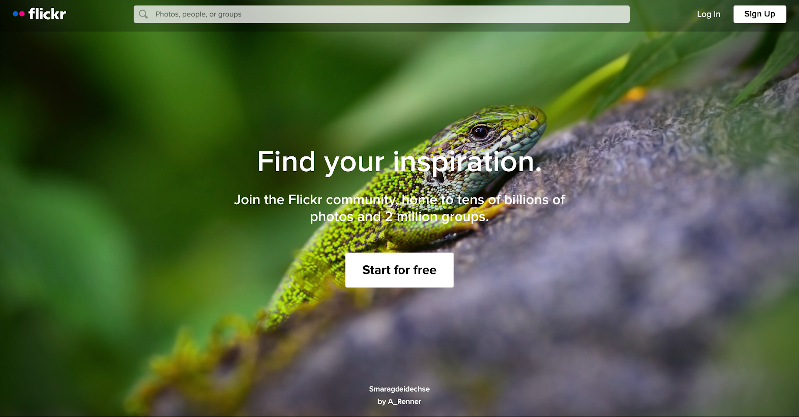 A screenshot of flickr