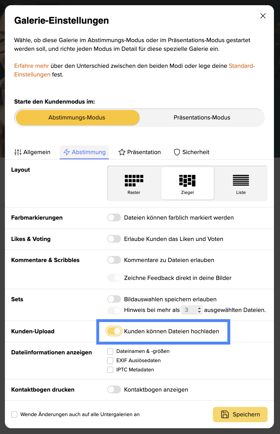 Screenshot Galerie-Einstellungen Kundenupload aktiviert