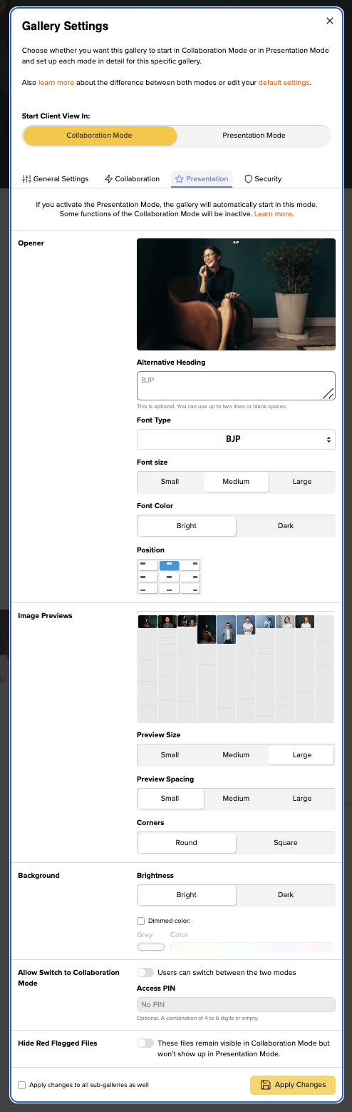 picdrop Gallery Settings for Presentation Mode