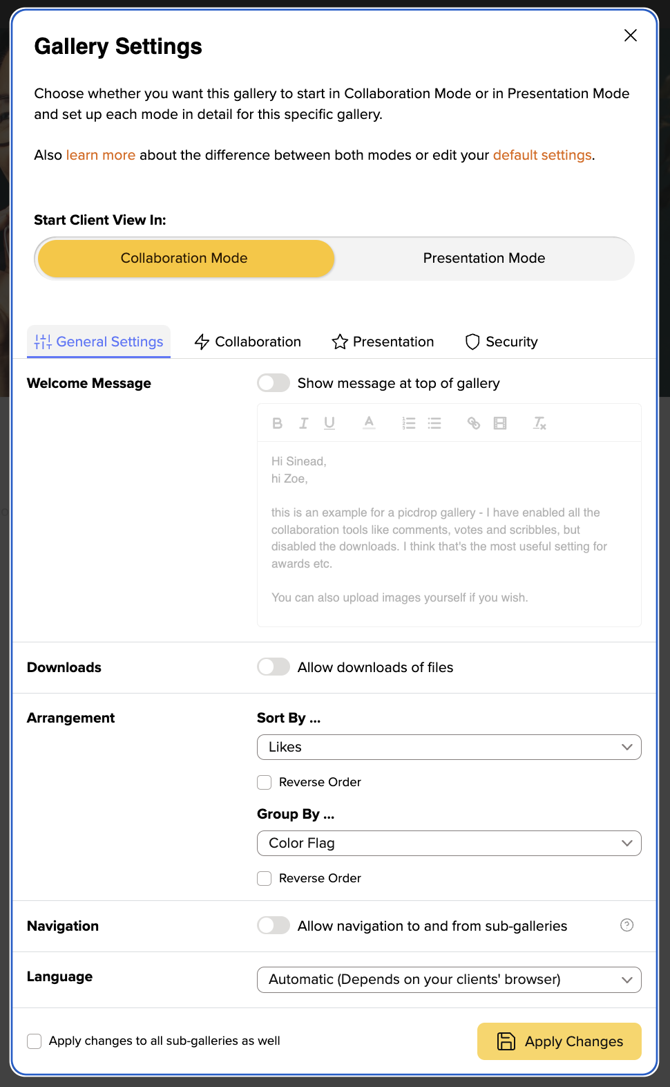 picdrop gallery settings general settings for welcome message, downloads etc.