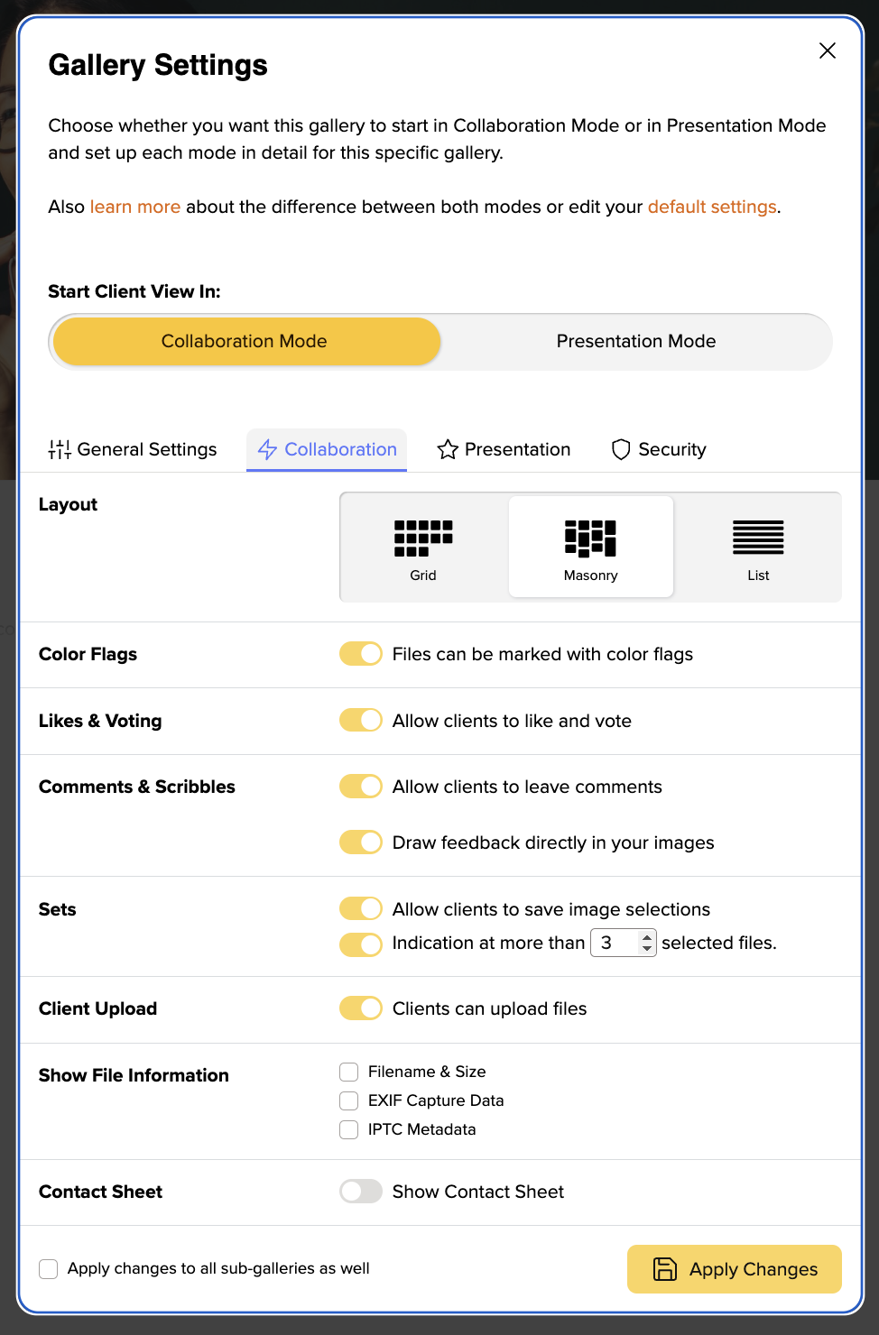 picdrop Gallery Settings for Edit Mode including file information, selections, color flags, client upload etc.